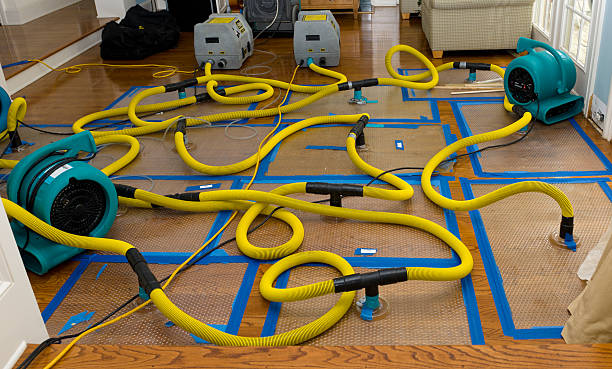 Professional Crawl Space Water Removal technician working in Seville, FL